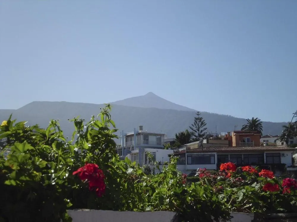 Chinyero Apartment Puerto de la Cruz